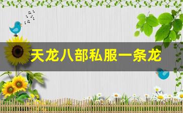 天龙八部私服一条龙(天龙开服一条龙) (3)